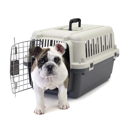 Plastic Kennel for Dogs & Cats, Wire Door, IATA Airline Approved, Travel Crate, No Wheels, Gray, Small, 24" L X 16" W X 16" H