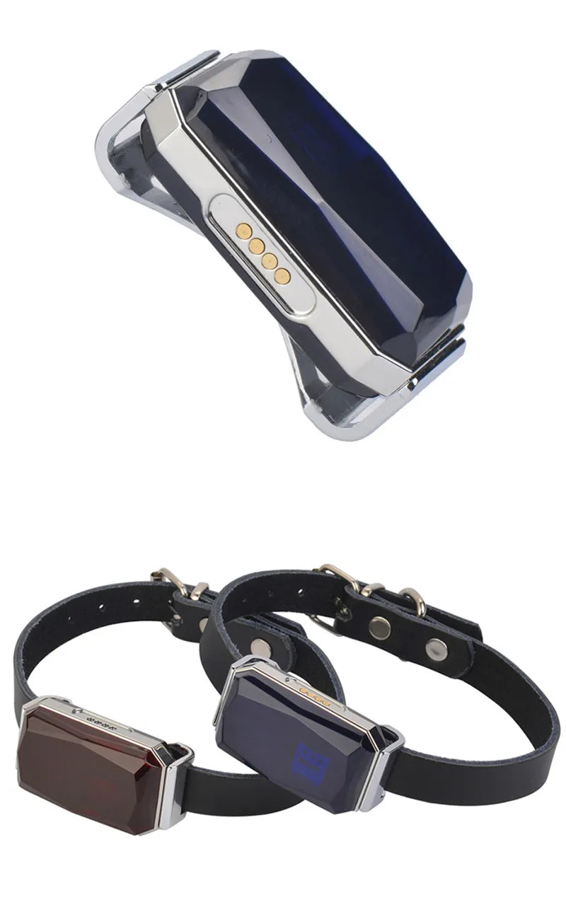 Dog GPS Tracker G12 Waterproof IP67 Geo-fence 200mA Battery Standby Mini GPS Locator For Dog GPS For Cat Collar Monitor FREE APP