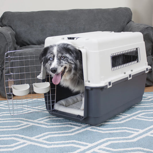 Plastic Kennel for Dogs, Wire Door, IATA Airline Approved, Travel Crate, with Wheels, Gray, Large, 32" L X 22" W X 23" H