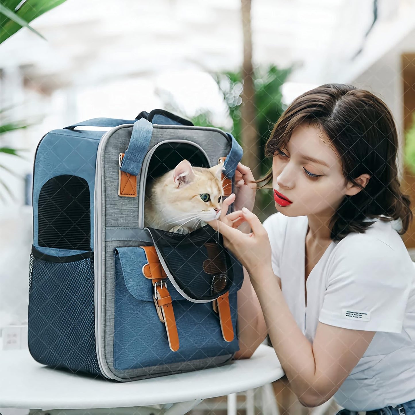 Pet Carrier Backpack, Cat Small Dog Backpack Carrier for Traveling Hiking Outdoor with Ventilated Mesh Straps Premium Oxford Cloth Leather Buckle(Blue) HP001