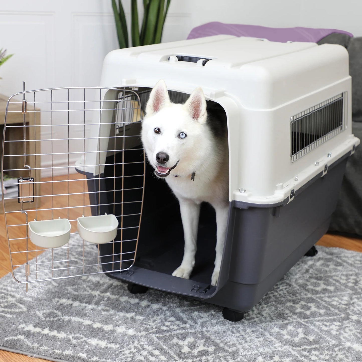 Plastic Kennel for Dogs, Wire Door, IATA Airline Approved, Travel Crate, with Wheels, Gray, Extra Extra Large, 40" L X 27" W X 30" H