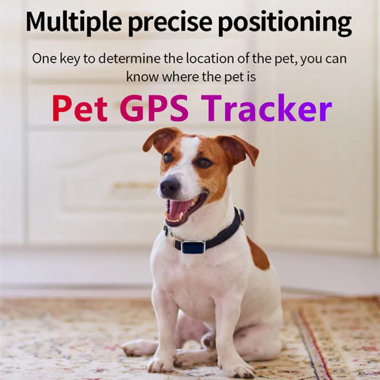 Dog GPS Tracker G12 Waterproof IP67 Geo-fence 200mA Battery Standby Mini GPS Locator For Dog GPS For Cat Collar Monitor FREE APP