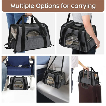 Foldable Mesh Cat Shoulder Travel Carrier