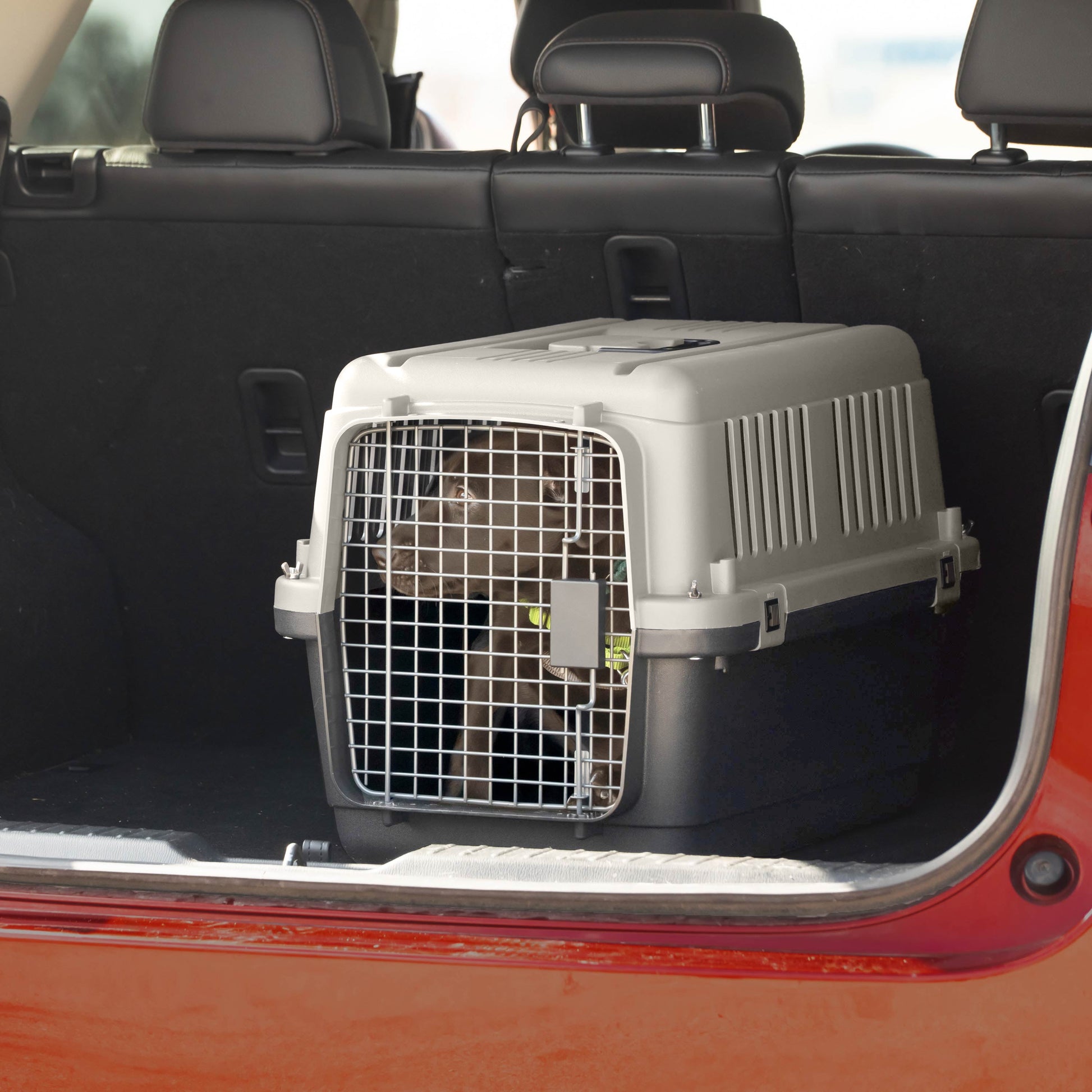 Airline Approved Plastic Dog Kennel with Wheels, Medium