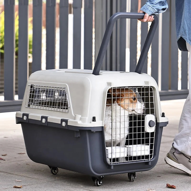 Aviation Plastic Portable Cat Dog Pet Cage Airline Approved Travel Pet Carrier For Small Animals