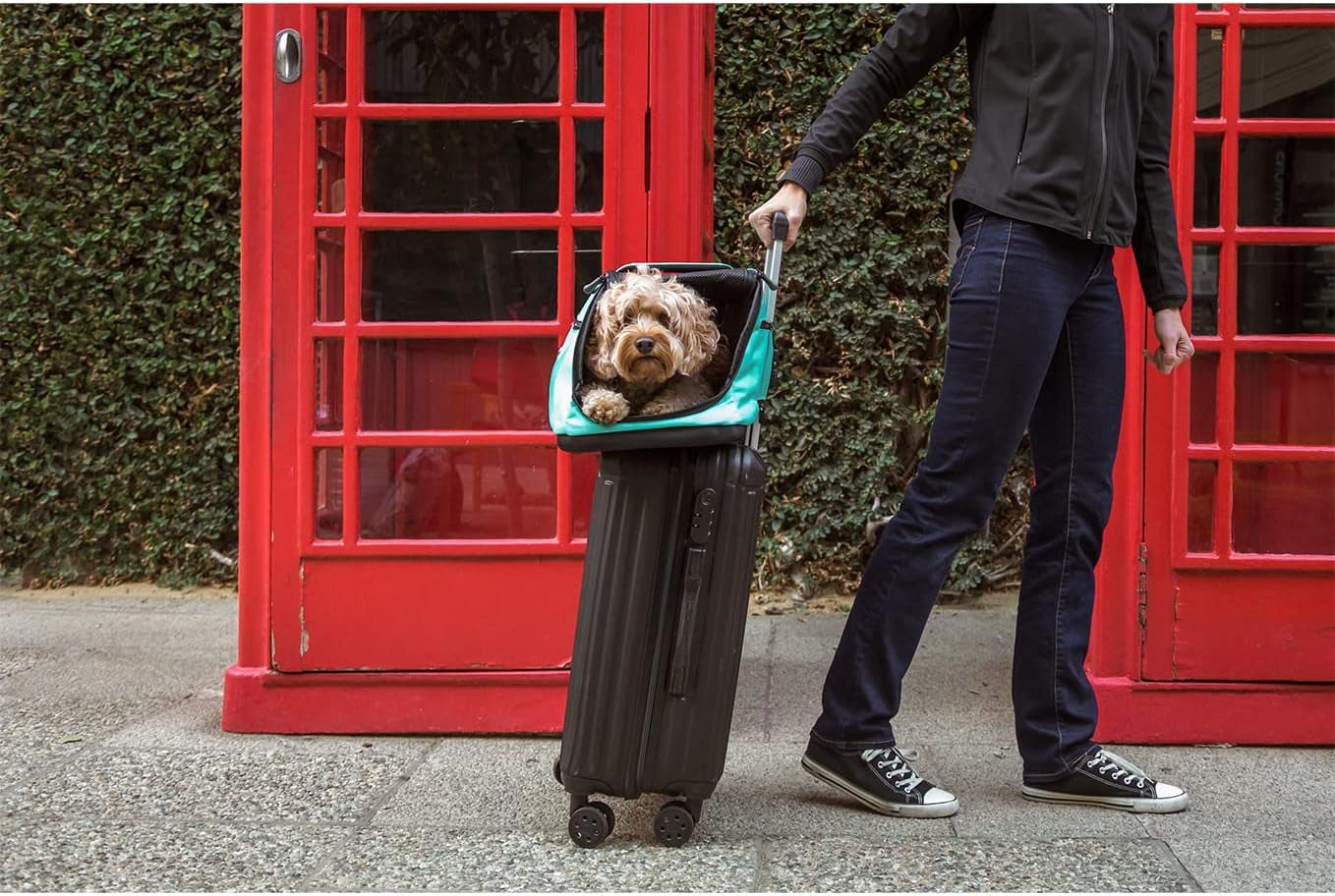 Air - Airline Approved Carrier for Cats and Dogs (Jet Black)