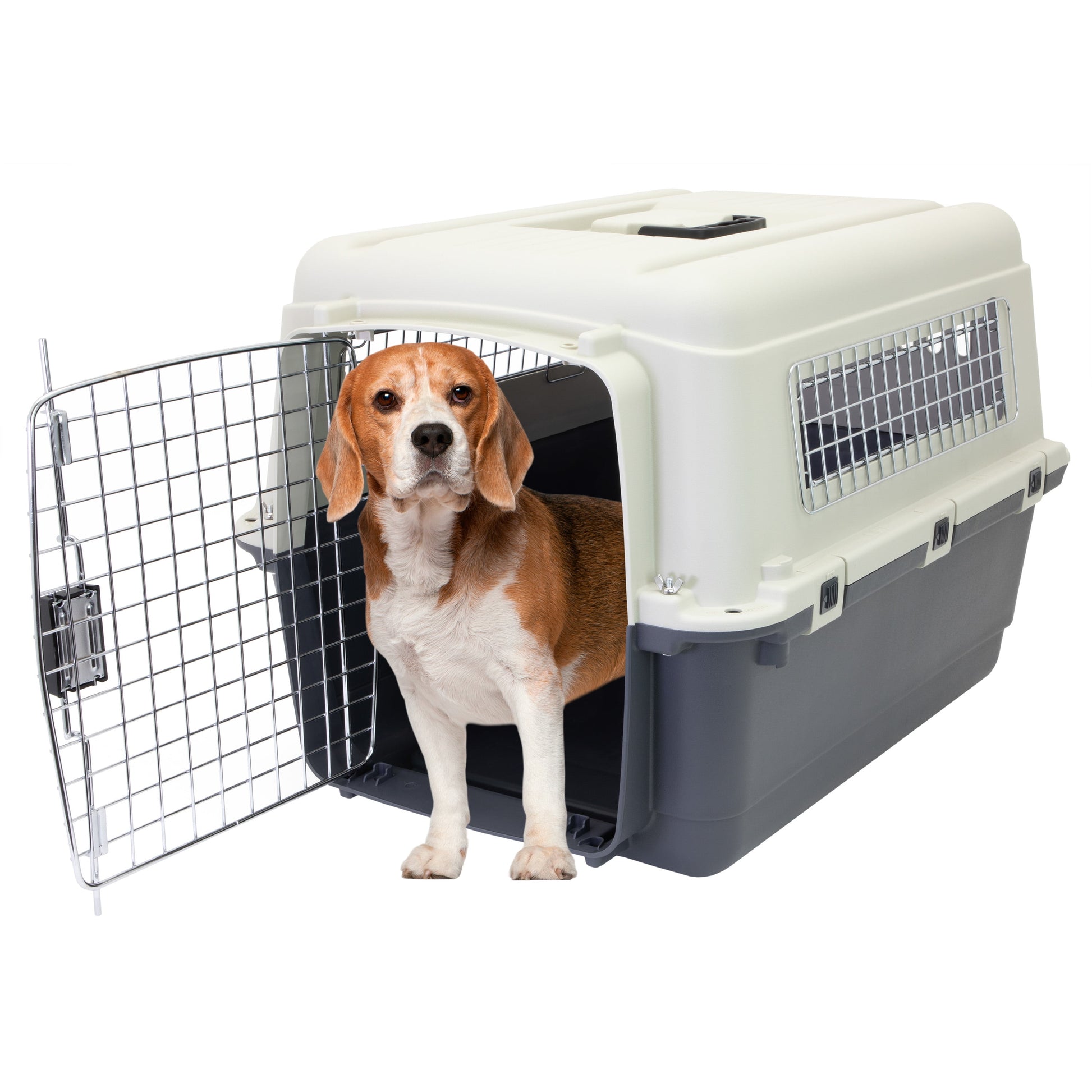 Airline Approved Plastic Dog Kennel with Wheels, Medium