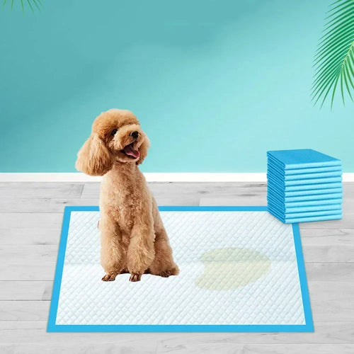 Ultra Absorbent Disposable Pet Diaper Pads