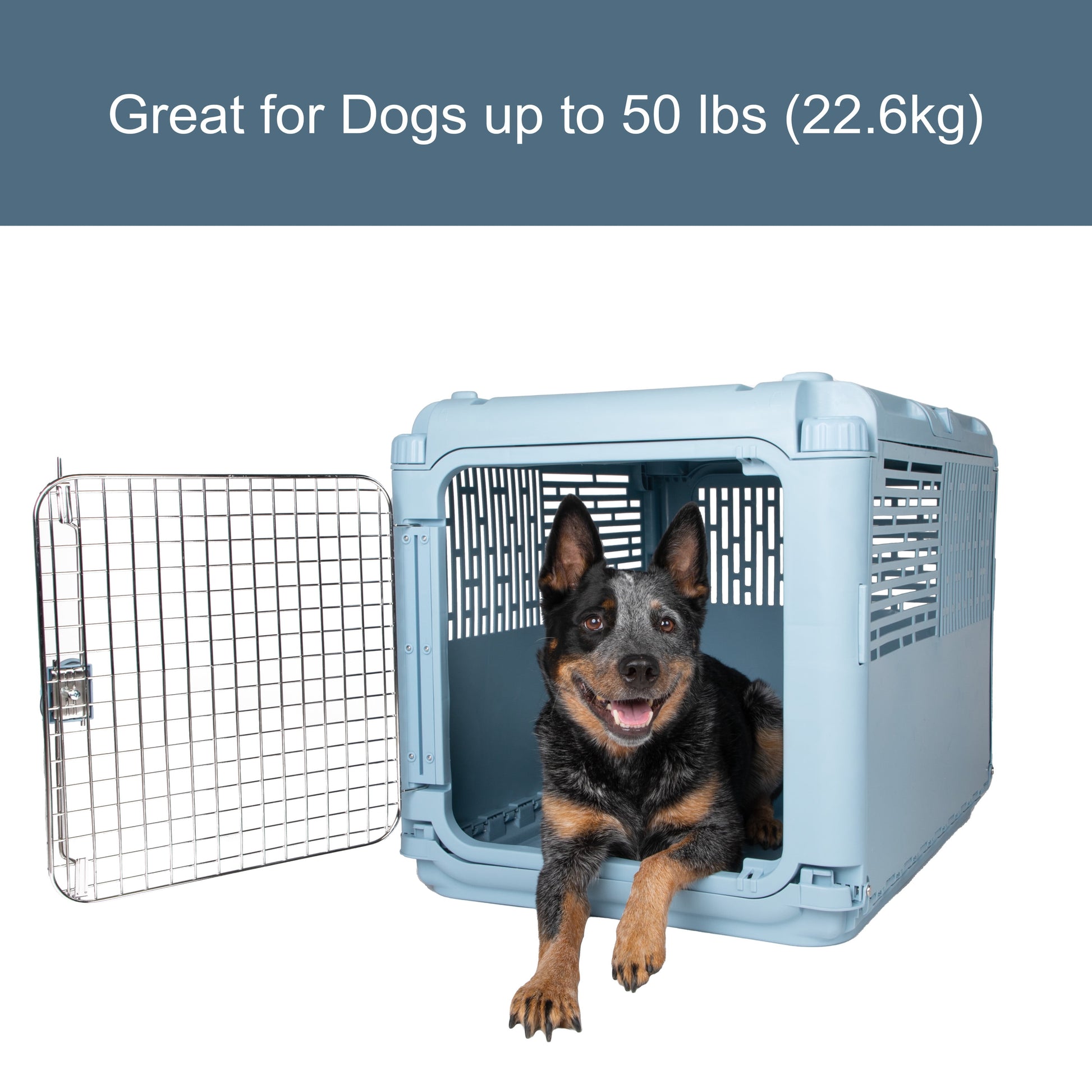 Sport Pet Designs, Dog Kennels, 30" Collapsible Plastic Pet Kennel/Crate, Blue, Medium