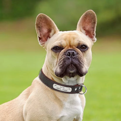 Customized Dog Collars Genuine Leather Dog Puppy Nameplate Collar Adjustable Free Engraved Pet ID Tags for Small Medium Dogs