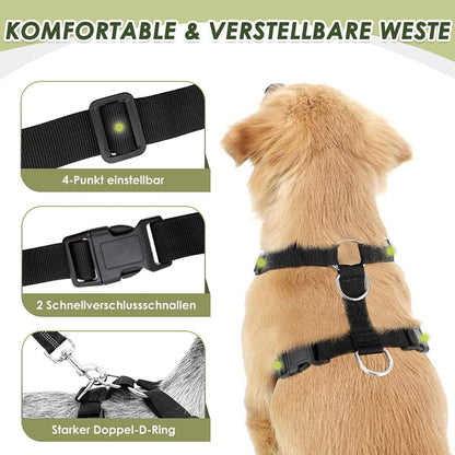 Dog Seat Belt - Adjustable Dog Car Harness for Large, Medium & Small Dogs, Soft Padded & Breathable Mesh Dog Seatbelt with Car Vehicle Connector Strap (Blue Double Clip, Medium)