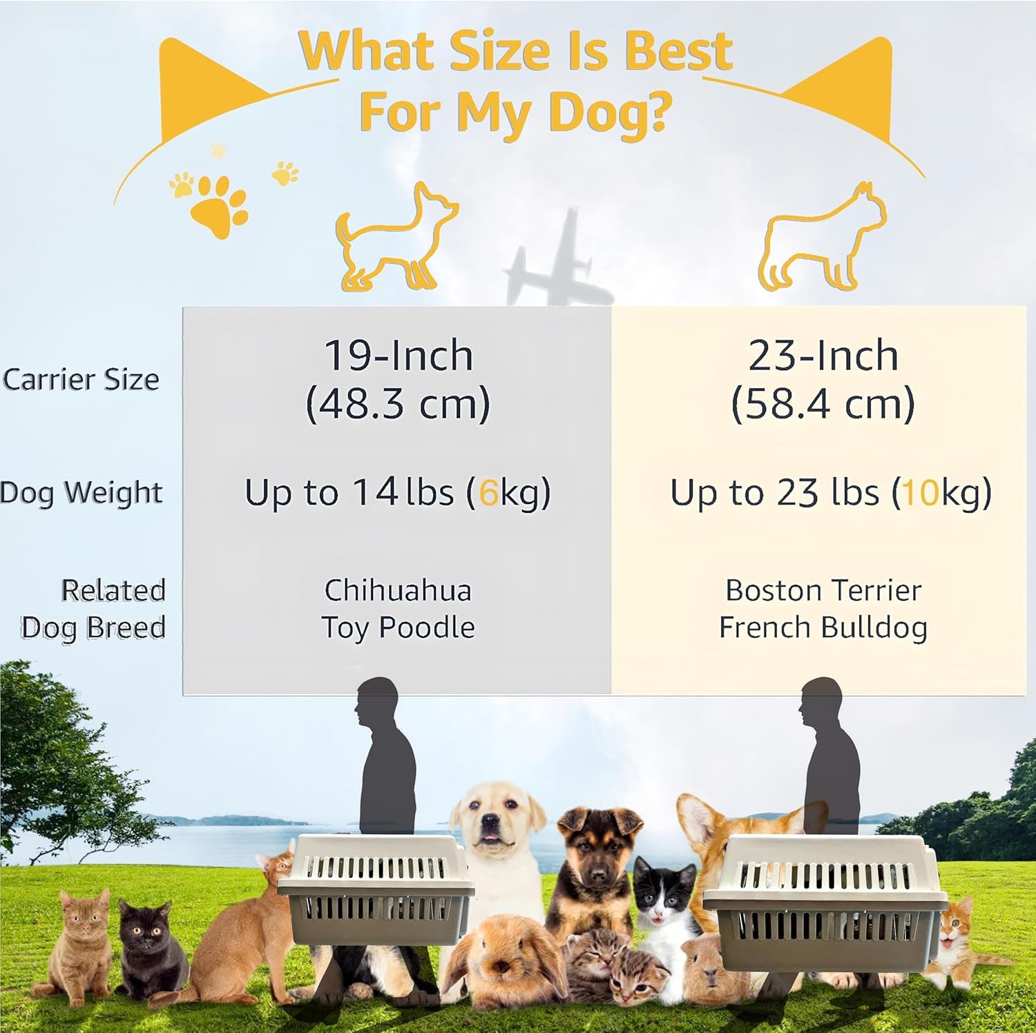 -Pets Spree Travel Pet Carrier Dog/Cat Hard-Sided Carriers for Pets up to 15 Pounds Small Animal Carrier Airline/Road Travel Approved Stout (Orang)