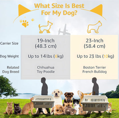 '-Pets Spree Travel Pet Carrier Dog/Cat Hard-Sided Carriers for Pets up to 15 Pounds Small Animal Carrier Airline/Road Travel Approved Stout (Orang)
