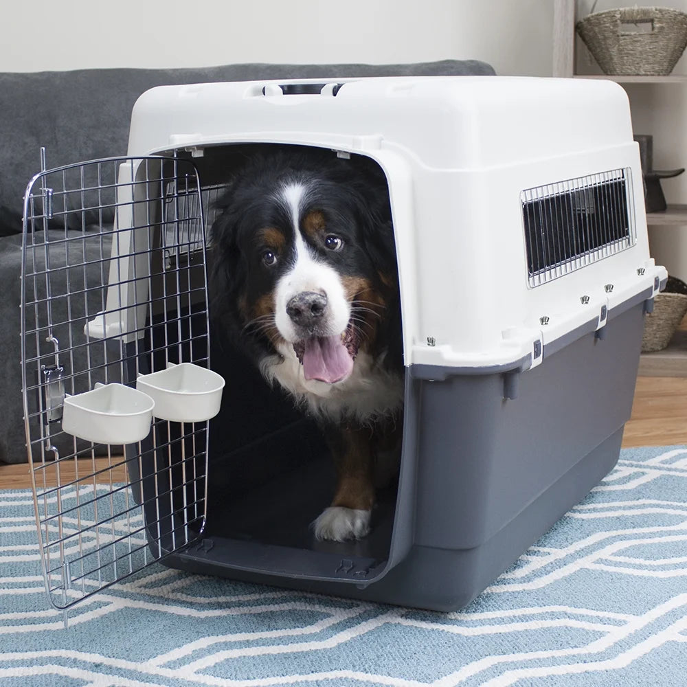 Plastic Kennel for Dogs, Wire Door, IATA Airline Approved, Travel Crate, with Wheels, Gray, Extra Extra Large, 40" L X 27" W X 30" H
