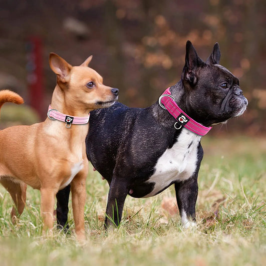 2 Pack Reflective Soft Neoprene Padded Dog Collars Adjustable Pet Collar with ID Tag Ring Safe and Comfy for Medium Dogs