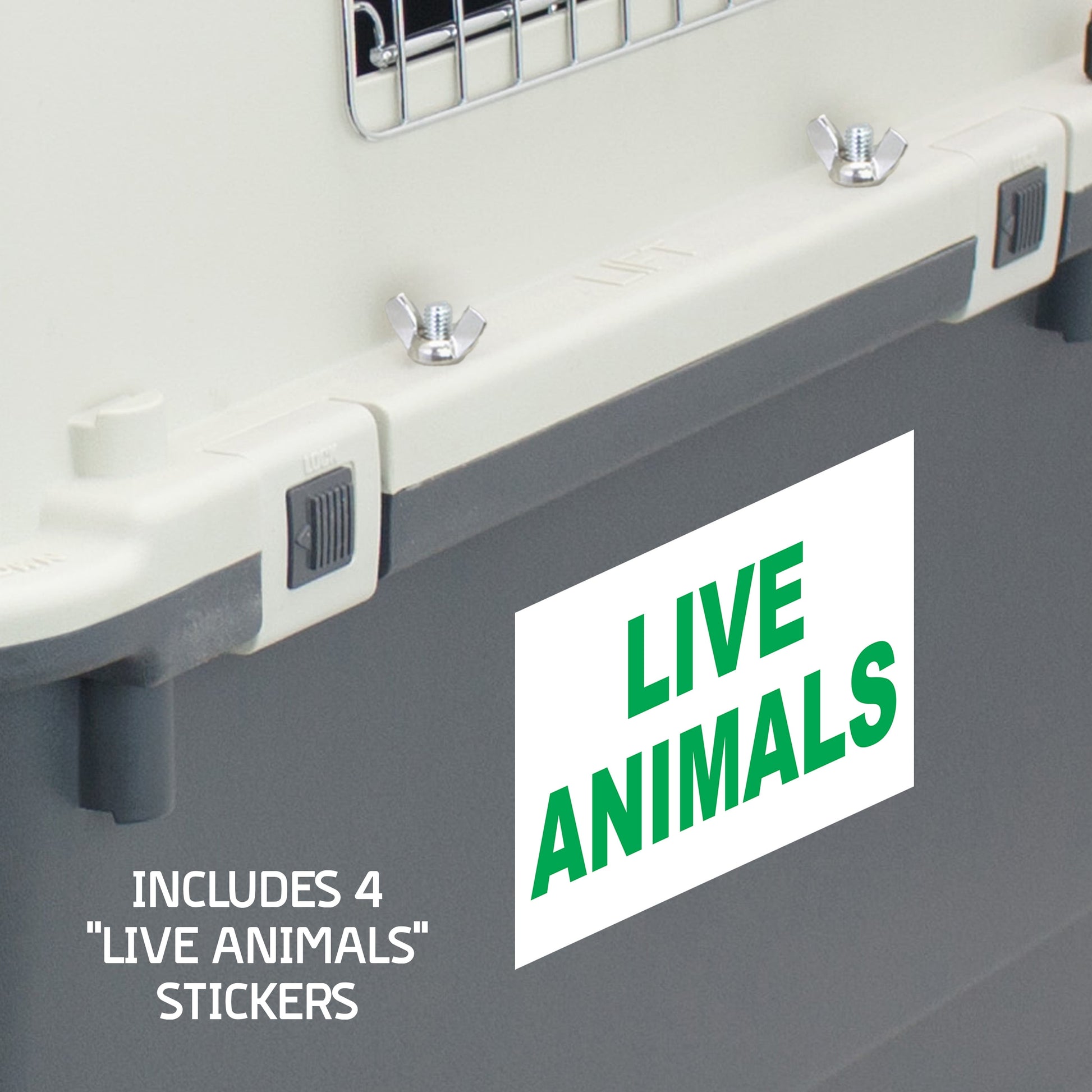 Airline Approved Plastic Dog Kennel with Wheels, Xxx-Large