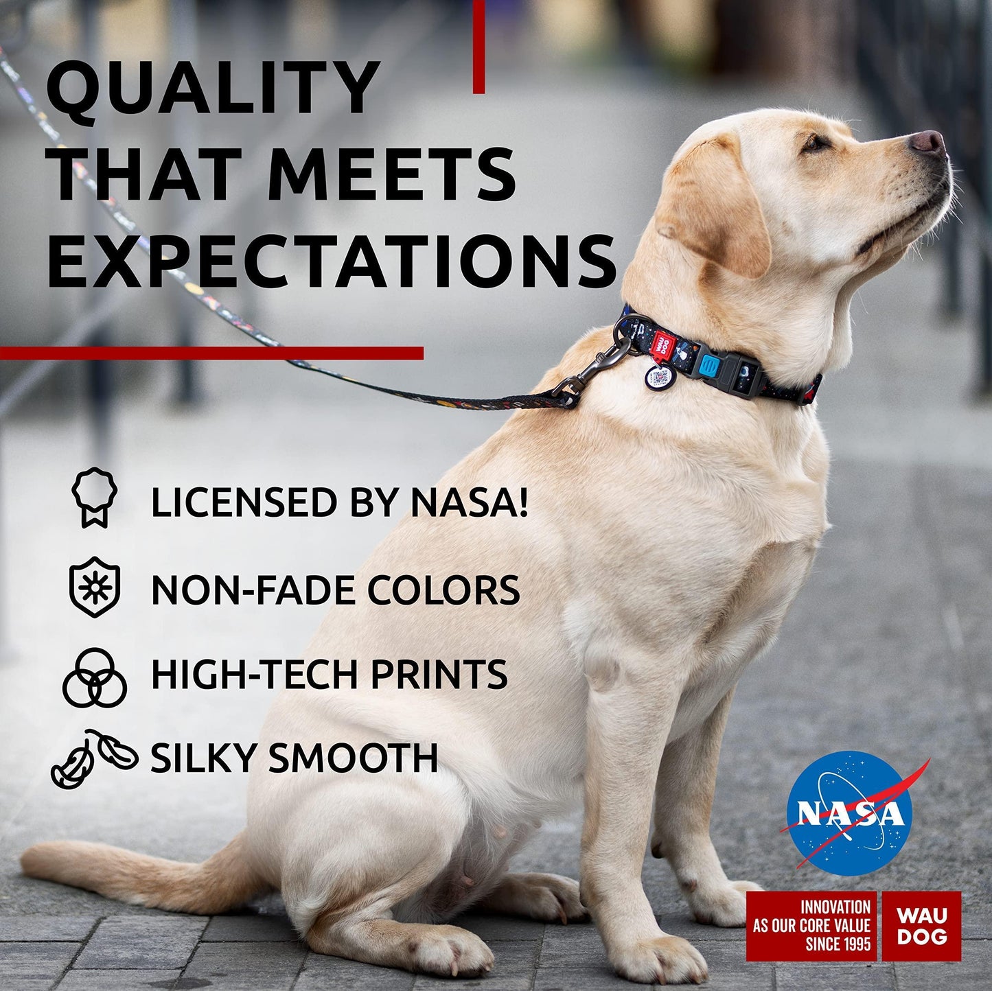 Nylon Dog Collar Adjustable for Large Dogs 12 - 19 in Neck X 1 in Wide NASA Color
