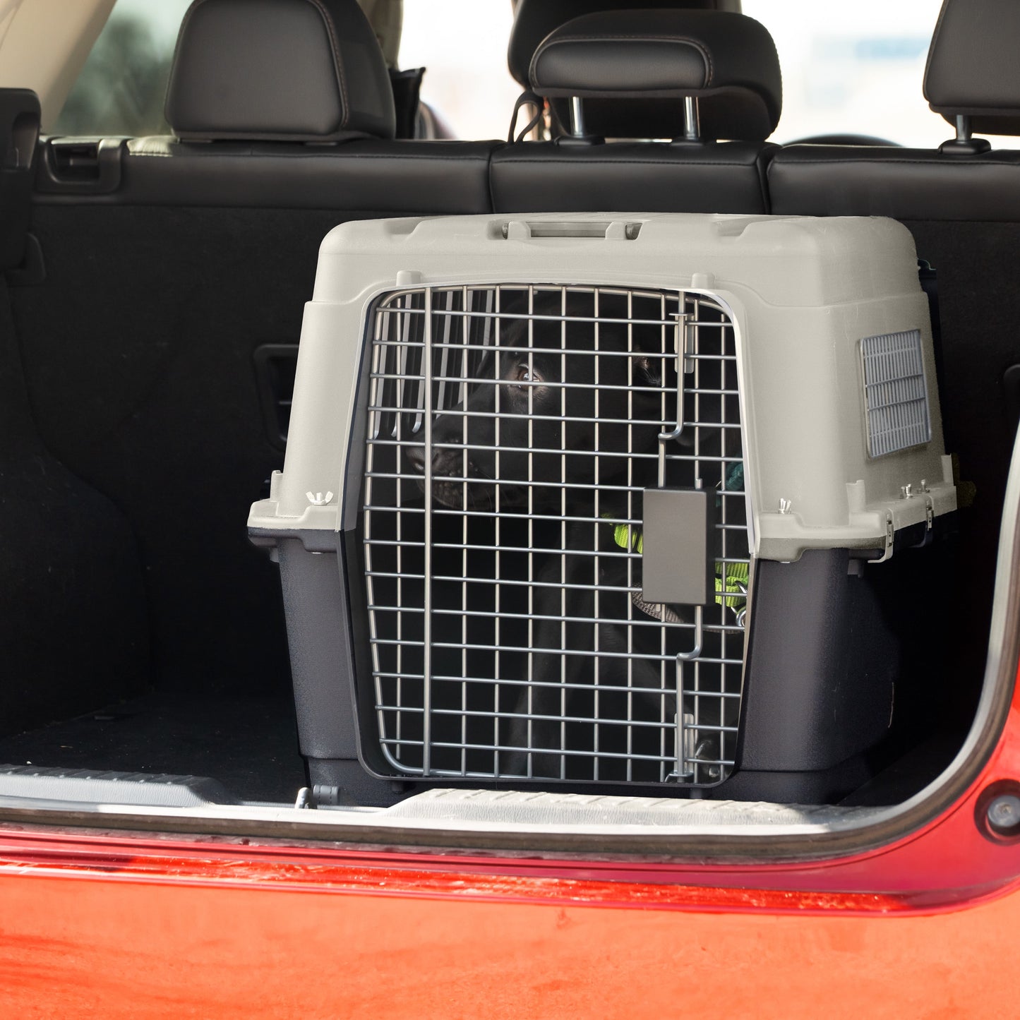 Airline Approved Plastic Dog Kennel with Wheels, Medium