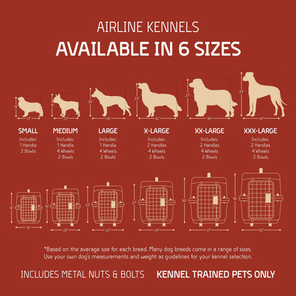 Airline Approved Plastic Dog Kennel with Wheels, Medium