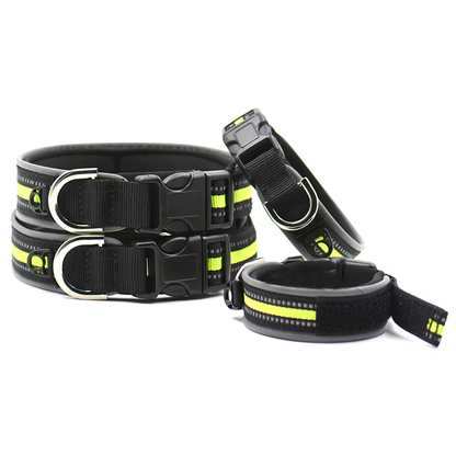 Reflective Nylon Dog Collar with ID Tag Hole