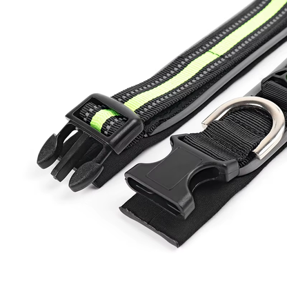 Reflective Nylon Dog Collar with ID Tag Hole
