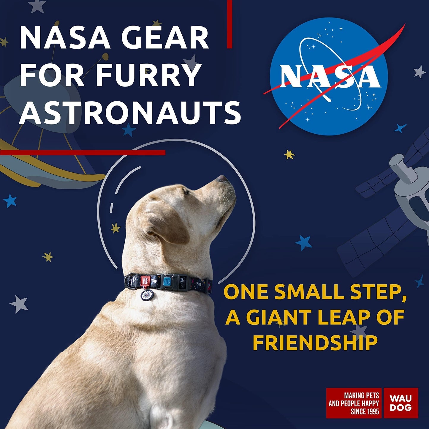 Nylon Dog Collar Adjustable for Large Dogs 12 - 19 in Neck X 1 in Wide NASA Color
