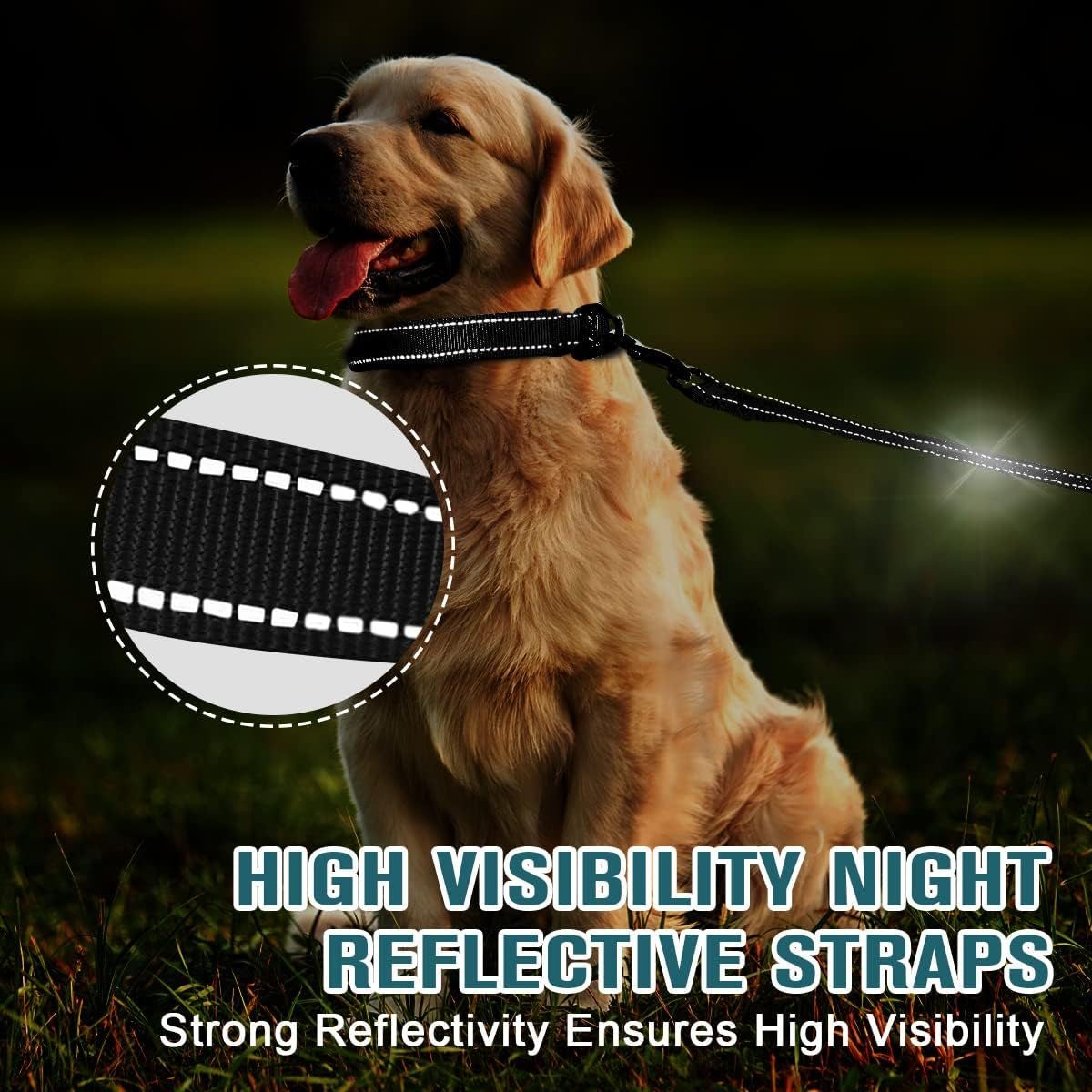 Dog Collar for Medium Small Large Dogs Reflective with Leash,Collar and Leash for Dogs,Soft Neoprene Padded 2 Pack(Black,M)
