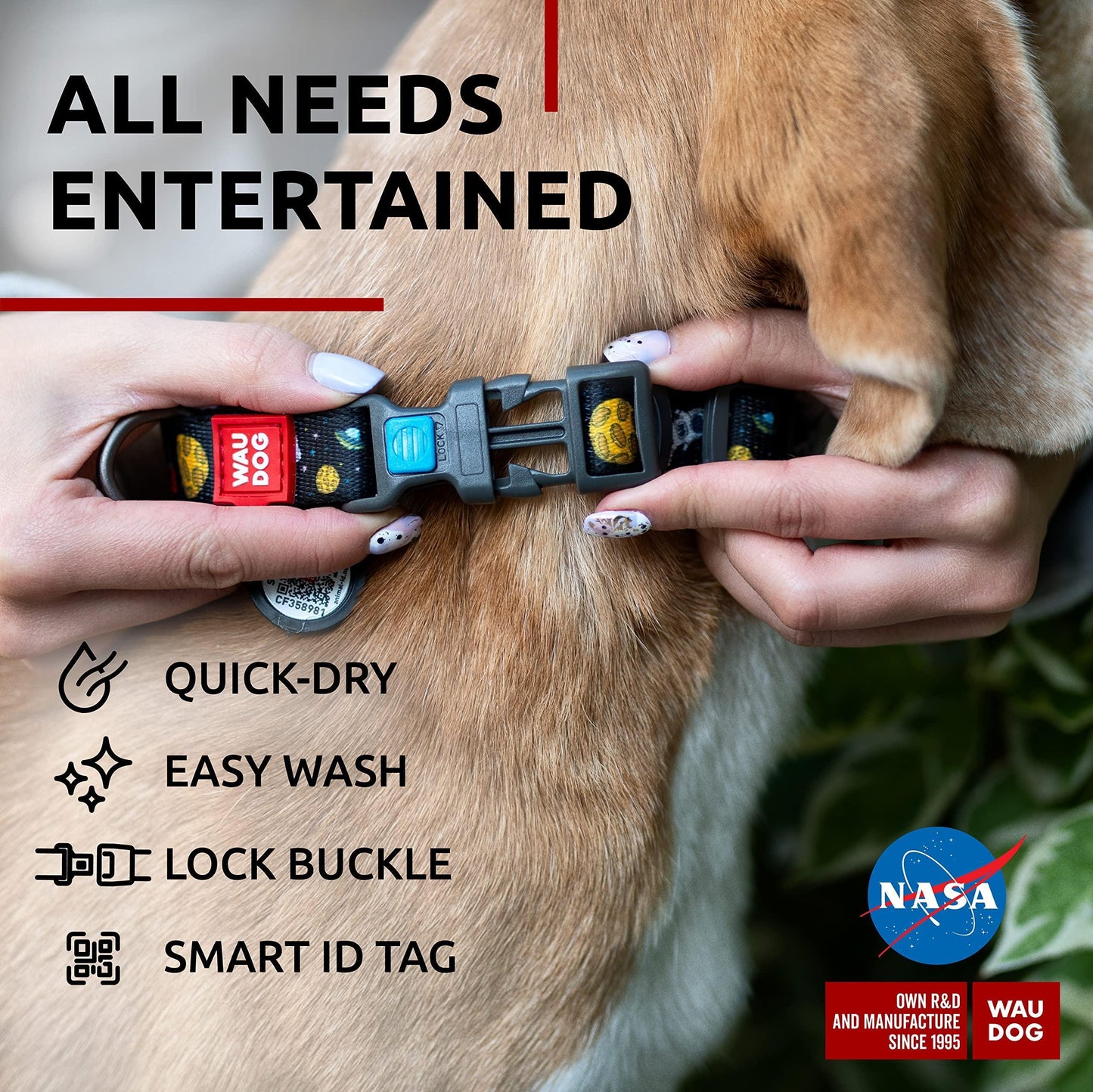 Nylon Dog Collar Adjustable for Large Dogs 12 - 19 in Neck X 1 in Wide NASA Color