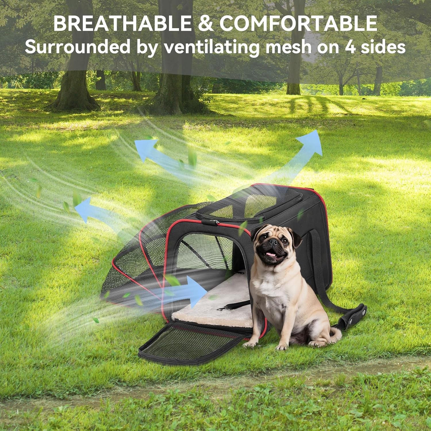 Expandable Dog Carrier Large Cat Carrier, Soft-Sided Portable Collapsible Pet Travel Carrier for Kittens, Puppies or Small Animals, 19 X12X12 Inches, Black