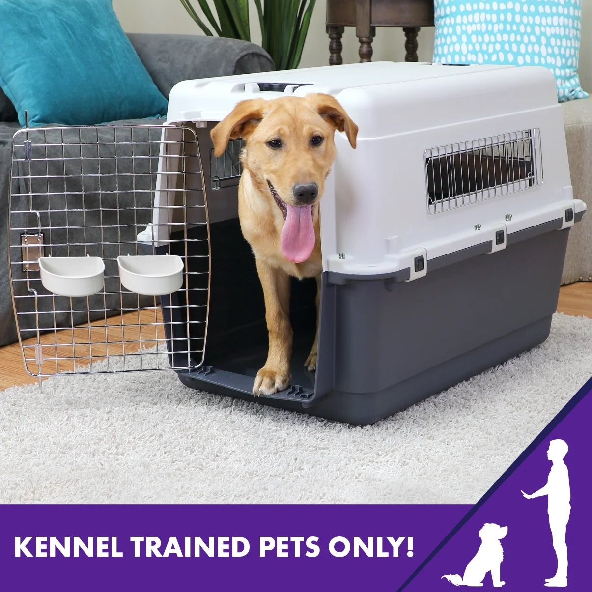 Plastic Kennel for Dogs, Wire Door, IATA Airline Approved, Travel Crate, with Wheels, Gray, Large, 32" L X 22" W X 23" H