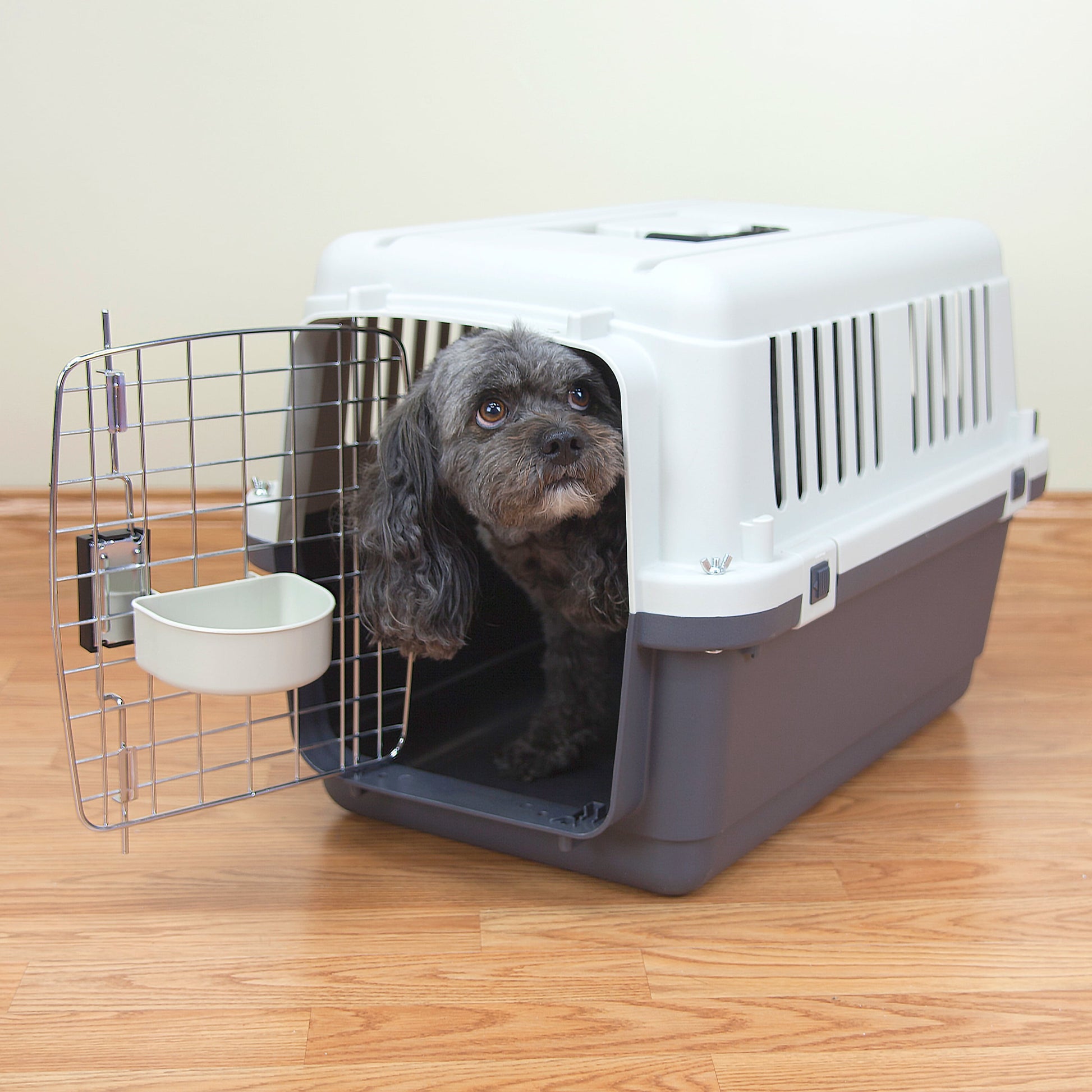 Plastic Kennel for Dogs & Cats, Wire Door, IATA Airline Approved, Travel Crate, No Wheels, Gray, Small, 24" L X 16" W X 16" H