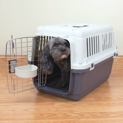 Plastic Kennel for Dogs & Cats, Wire Door, IATA Airline Approved, Travel Crate, No Wheels, Gray, Small, 24" L X 16" W X 16" H