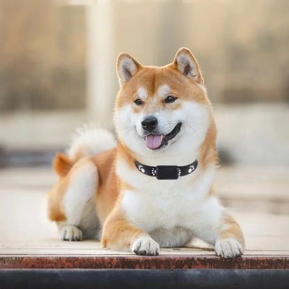 Universal Smart GPS Pet Collar Tracker