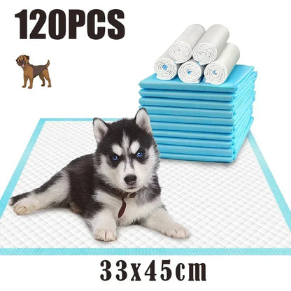 Ultra Absorbent Disposable Pet Diaper Pads