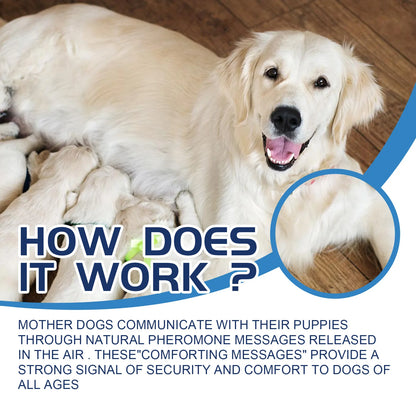 Pet Calming Liquid Diffuser Anxiety Relief